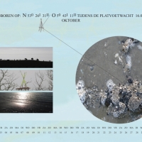 11-kalender10scsv