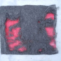 dscn5942