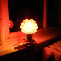 dscn5311